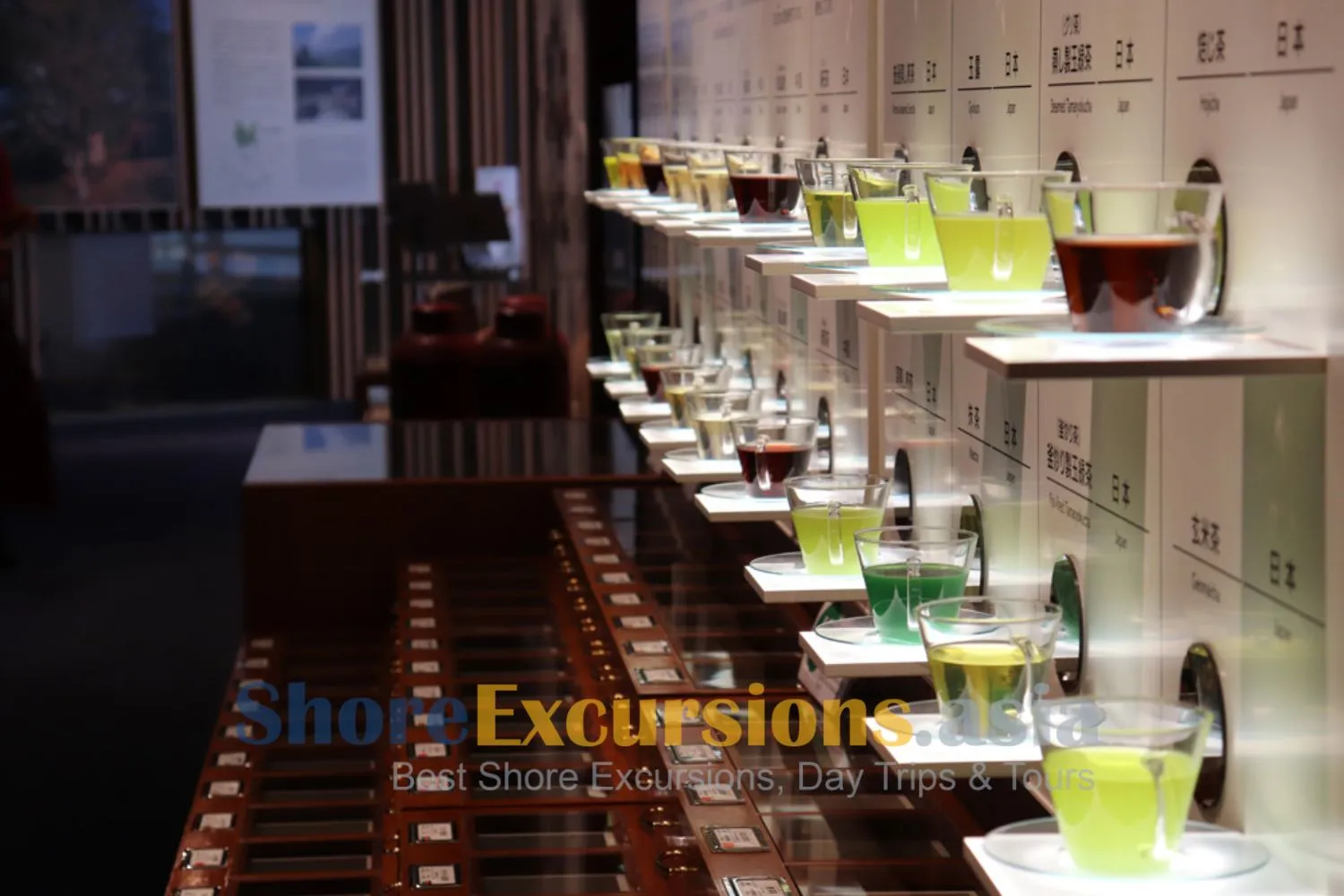 Fujinokuni Cha-no-Miyako Museum - Omaezaki shore excursions