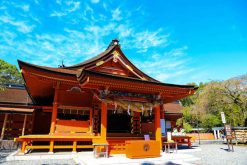 Fujisan Hongu Sengentaisha Shrine Shimizu shore excursions