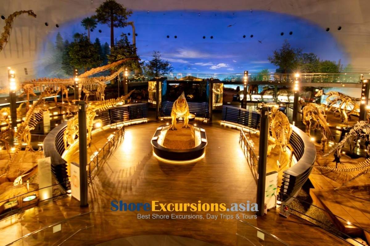 Fukui Dinosaur Museum on Tsuruga shore excursions