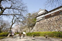 Fukuoka Castle shore excursions