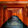 Fushimiinari-Taisha Shrine on Kyoto shore excursions