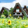 Gokayama Toyama shore excursions