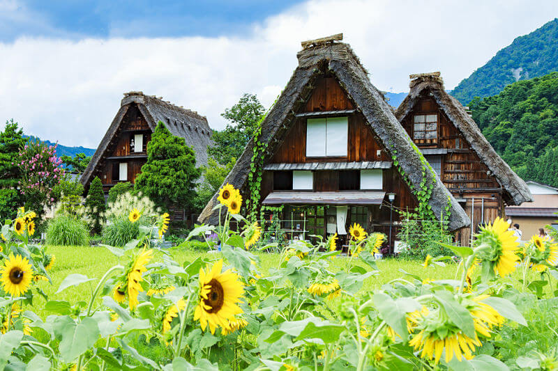 Gokayama Toyama shore excursions