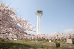 Goryokaku Park-Tower-Hakodate-shore-excursions