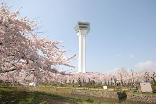 Goryokaku Park-Tower-Hakodate-shore-excursions