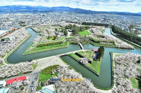 Goryokaku Park on Hakodate shore tour
