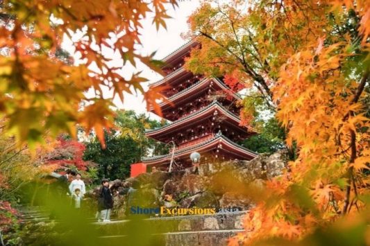 Gotaisan Chikurin-ji Temple on Kochi shore excursions