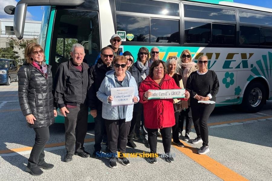 Guided Miyazaki shore excursions