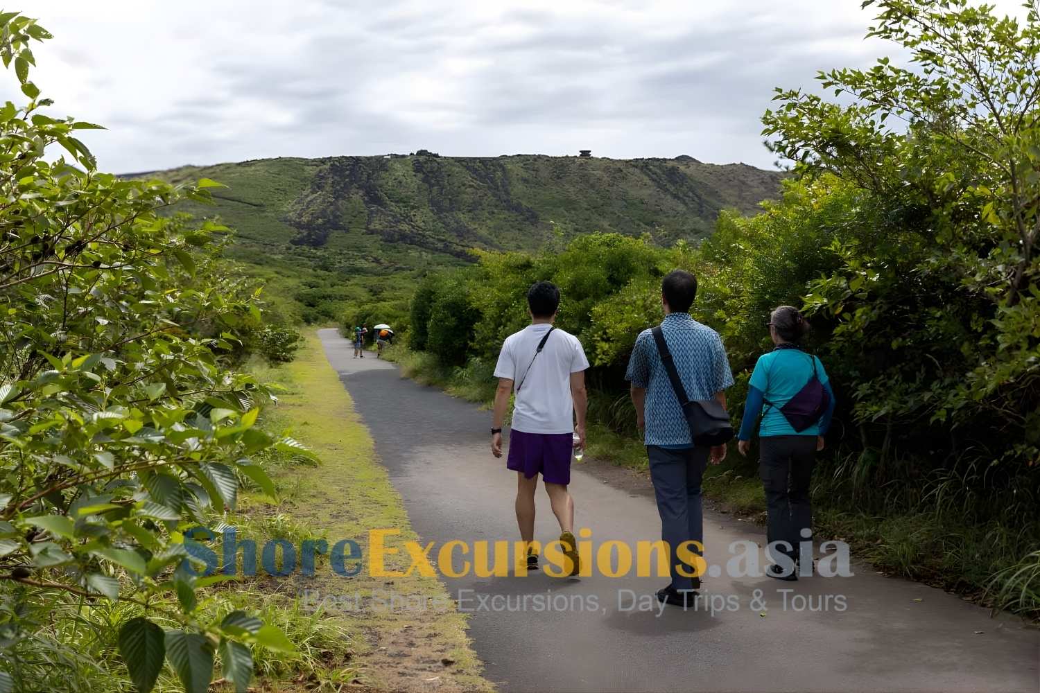 Guided Oshima shore tours with Japan Shore Excursions