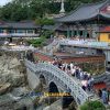 Haedong Yonggungsa Temple - Cultural Busan shore excursions