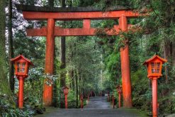 Hakone Shrine Shimizu shore excursions