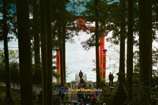 Hakone Shrine on Shimizu shore excursions
