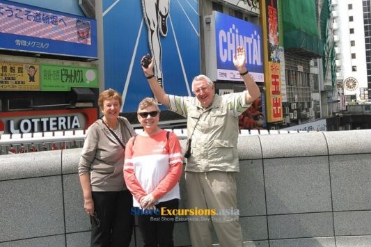 Half-Day Shore Excursion to Osaka