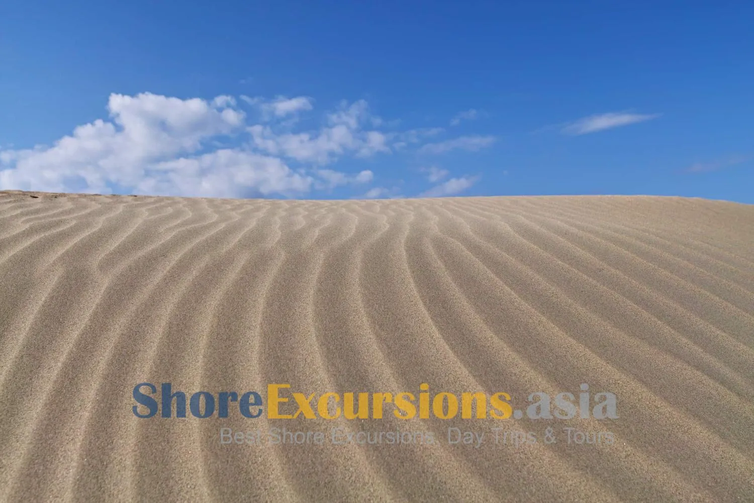 Hamaoka Sand Dunes - Omaezaki cruise tours