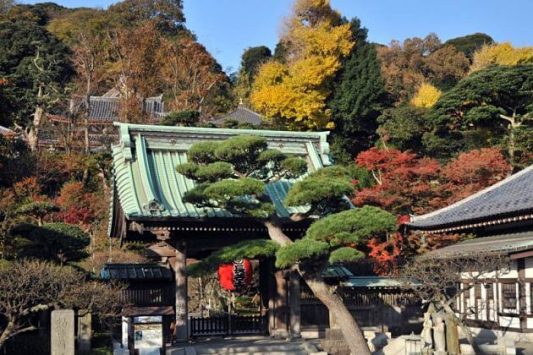 Hasedera Temple Tokyo shore excursions