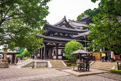Hasedera Temple-Yokohama-shore-excursions