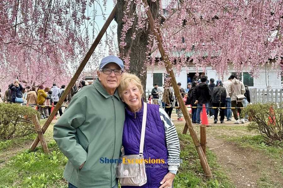 Highlight Aomori shore excursions