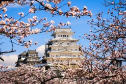 Himeji Castle--Osaka-Kobe-shore-excursions