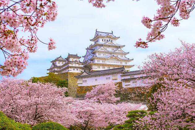 Himeji Castle attractions shore excursions