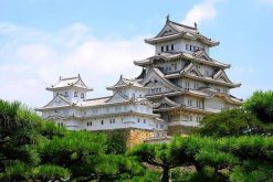 Himeji-castle-from-Kobe-shore-excursions