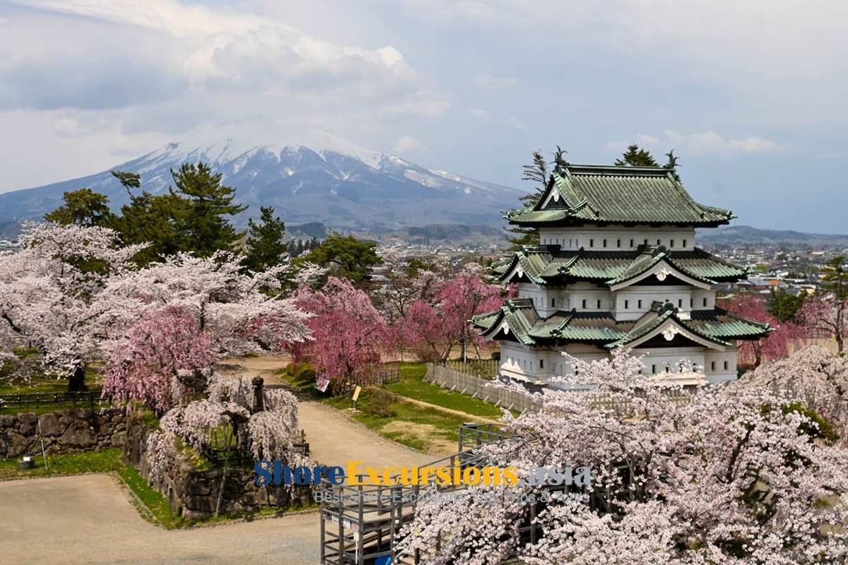 Hirosaki Castle and Park on Aomori Shore Excursions