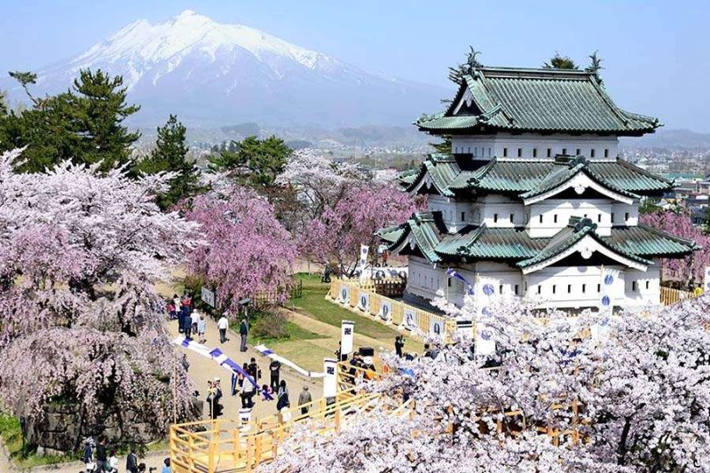 Official Aomori Travel Guide To Discover Japan s Scenic Northern Gem official-aomori-travel-guide-to-discover-japan-s-scenic-northern-gem