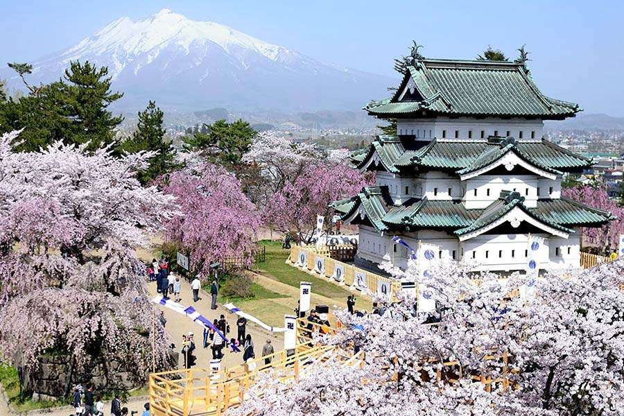 Hirosaki Park-Aomori shore excursions