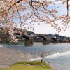 Hiroshima-Iwakuni-shore-excursions