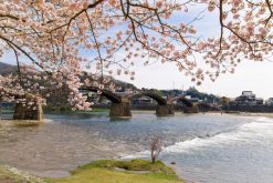 Hiroshima-Iwakuni-shore-excursions