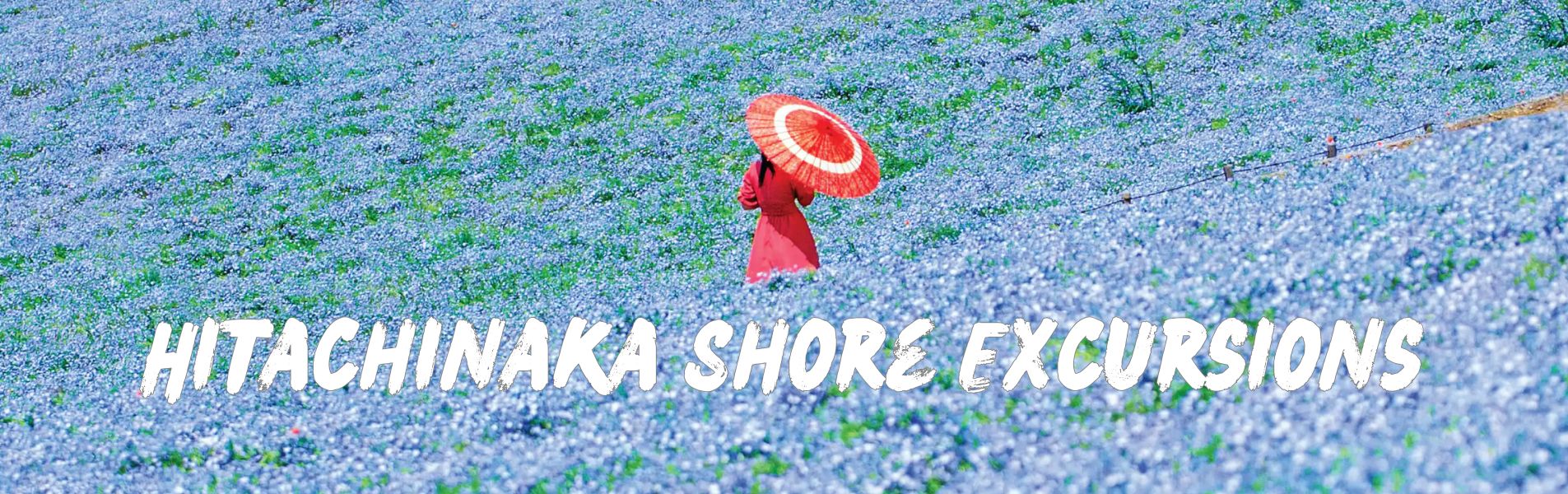 Hitachinaka shore excursions banner