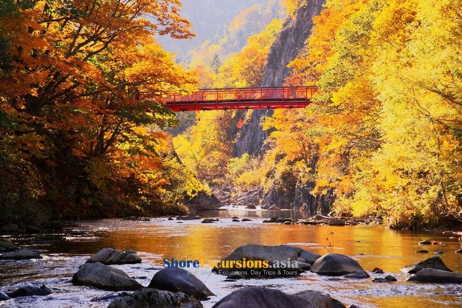 Hokkaido - best things to do in japan in november