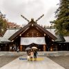 Hokkaido shrine shore excursions