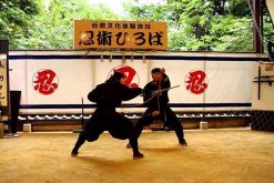 Igaryu Ninja Museum Niigata