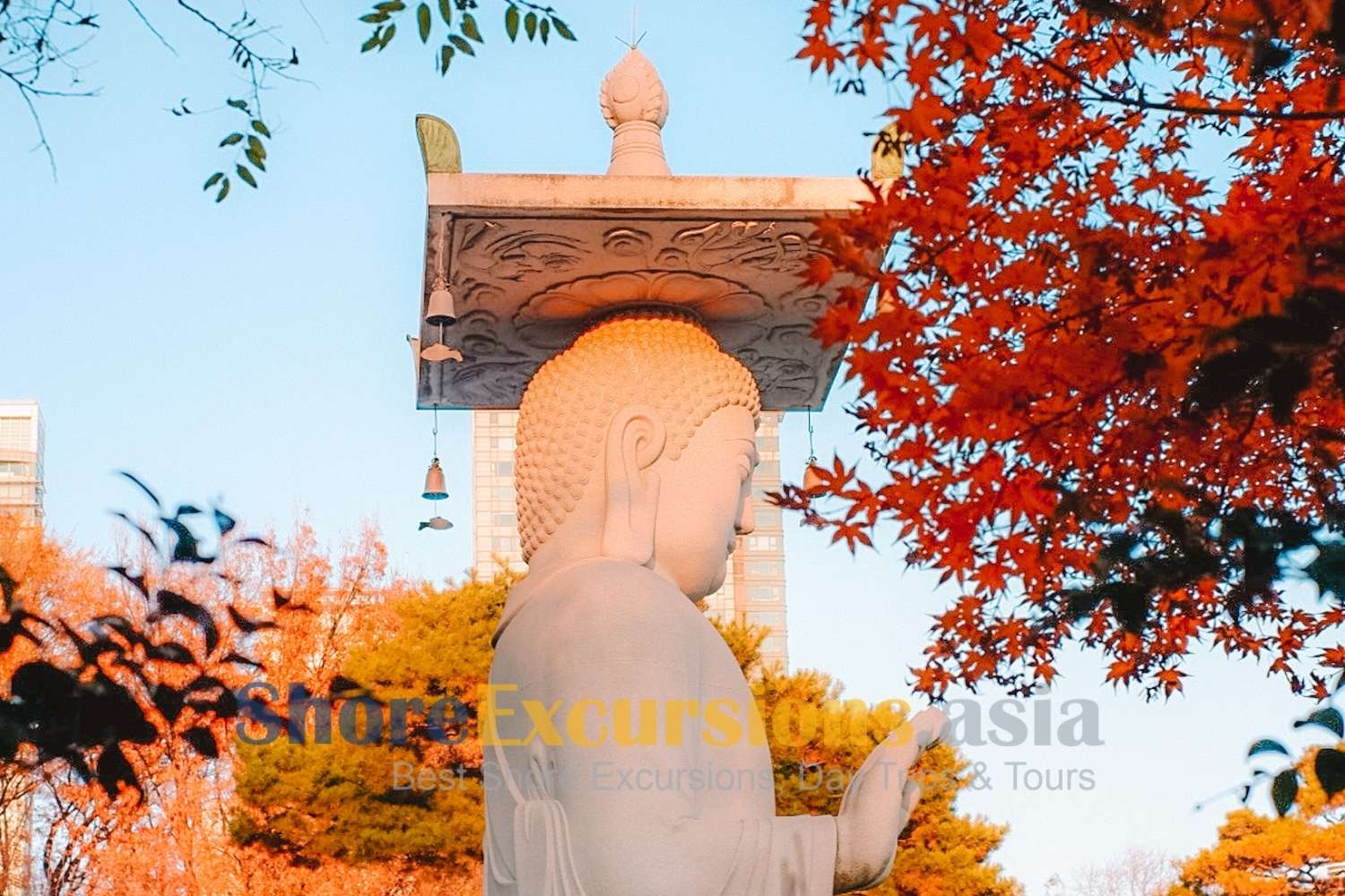 Incheon port shore excursions in Autumn