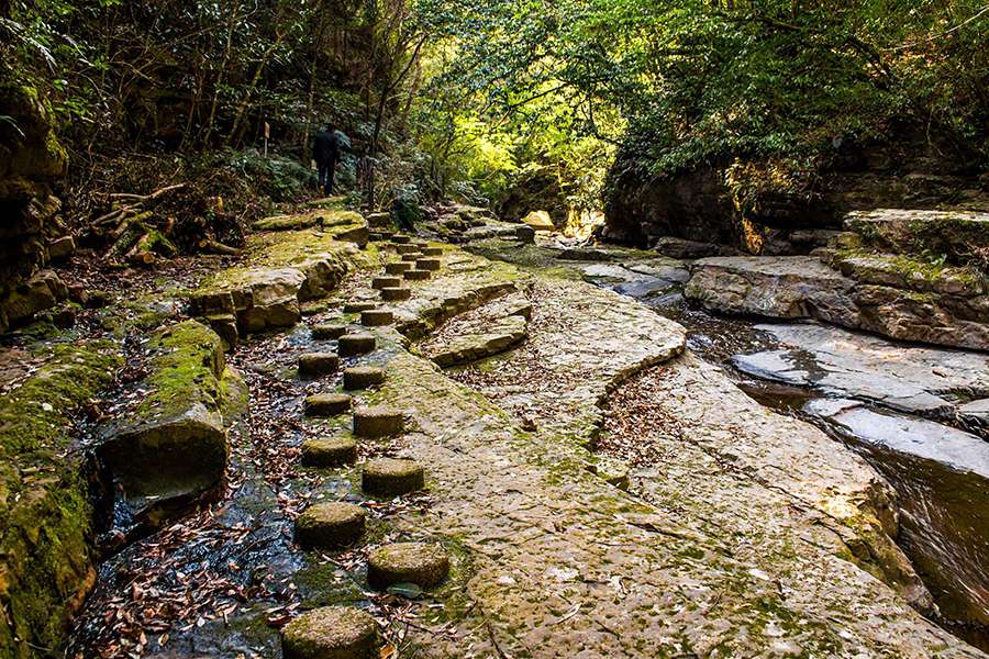 Inohae Valley in Miyazaki Aburatsu shore excursions