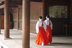 Ise-Jingu Shrine Toba shore excursions