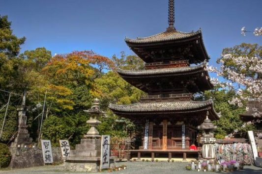 Ishiteji Temple Matsuyama shore excursions