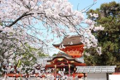 Iwashimizu Hachimangu Shrine Kyoto