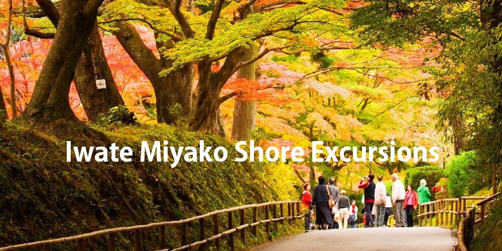 Iwate Miyako Shore excursions