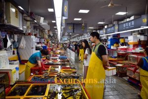 Jagalchi Fish Market - Busan shore excursions