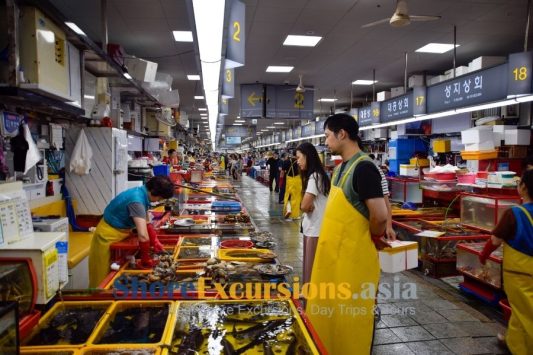 Jagalchi Fish Market - Busan shore excursions