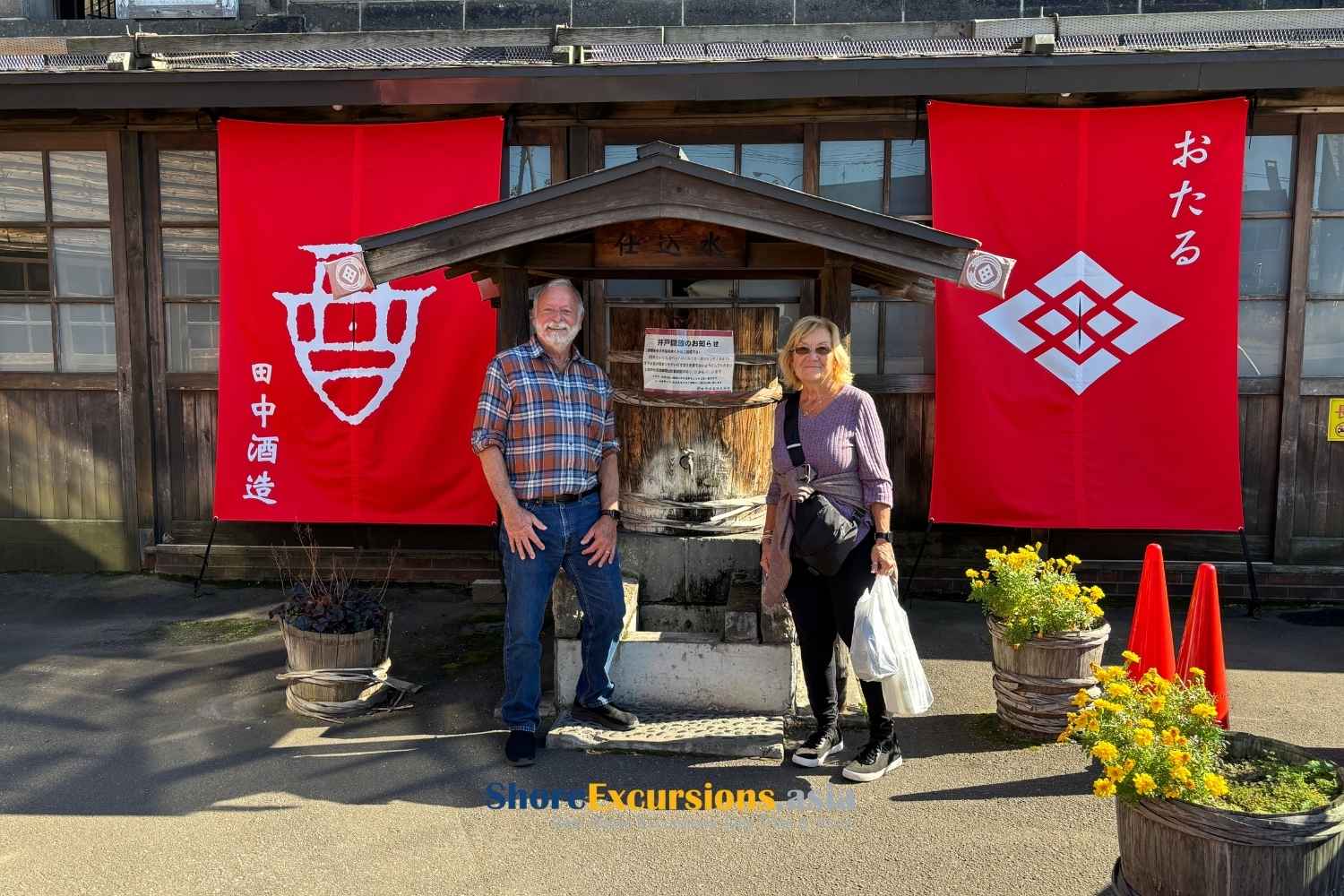 Japan Ancient Temples from safe cruise destination
