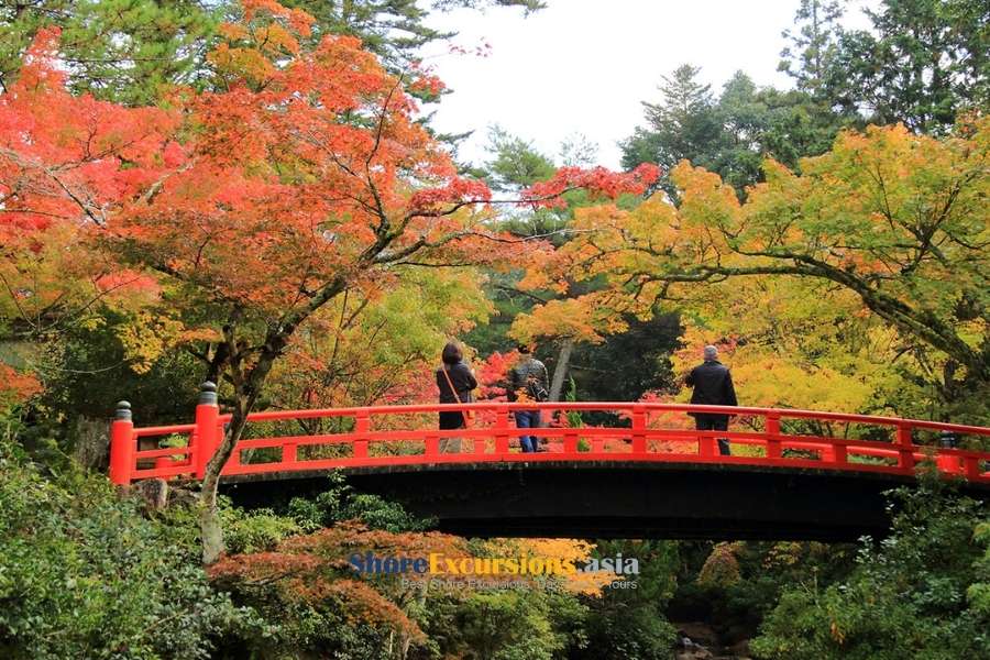 Japan Autumn Foliage in Miyajima Island