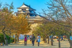 Japan shore excursions Matsuyama Castle