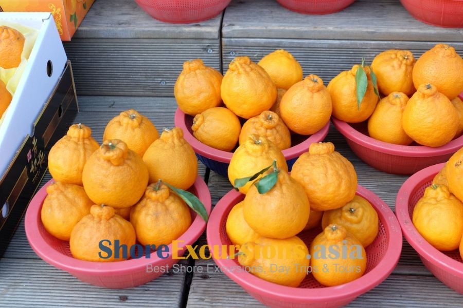Jeju Tangerines - Jeju tours from cruise port