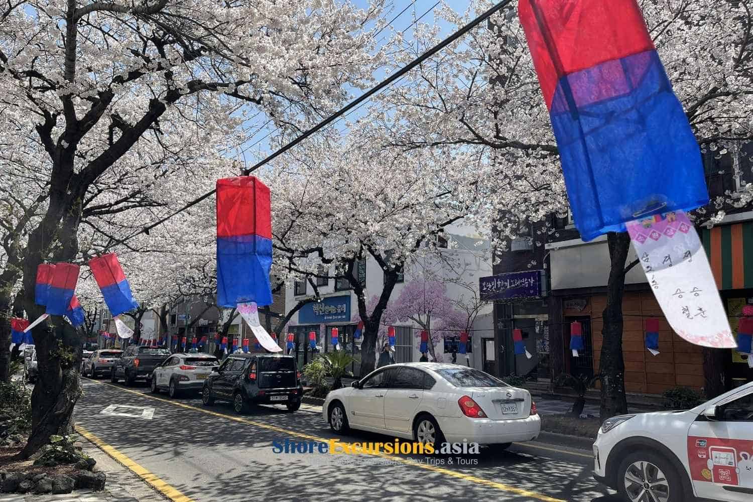 Jeonnong-ro - cherry blossom area in korea