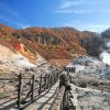 Jigokudani Hell Valley & Ainu village