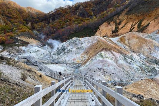 Jigokudani Hell Valley tour from Muroran cruise port