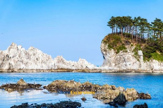 Jōdogahama-Aonodōkutsu shore excursions