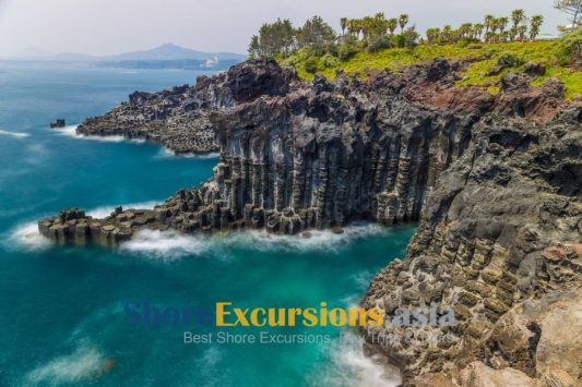 Jusangjeollidae Cliff - Jeju West & South Highlights Tour